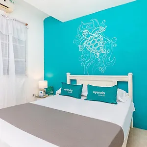 book here